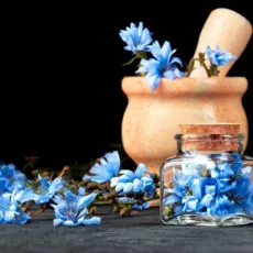 عرق کاسنی ارگانیک ژیک حجم 1 لیتر بسته 9 عددی