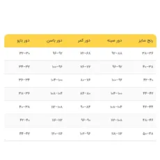 پالتو جیب نما دو دکمه رنگ مشکی
